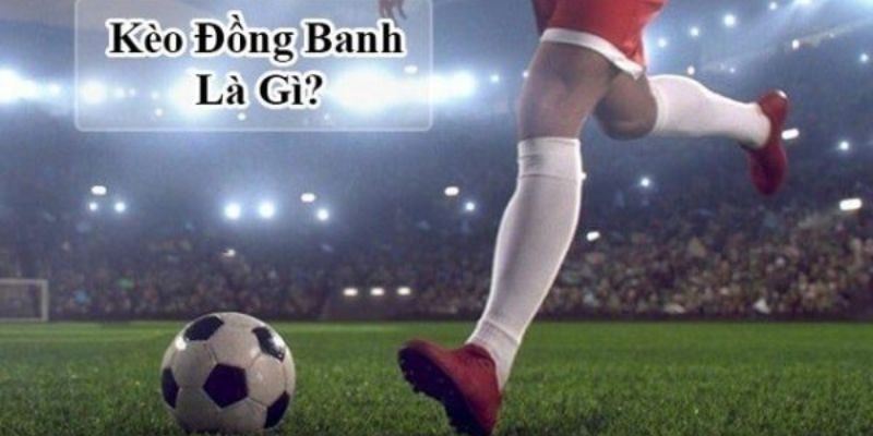 Hiểu rõ được hình thức cược chấp đồng banh