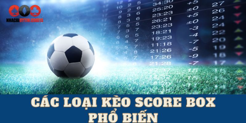 Kèo chấp Score Box và kèo tài xỉu Score Box là các loại kèo phổ biến nhất